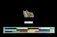 藏品(方鉛礦)的圖片